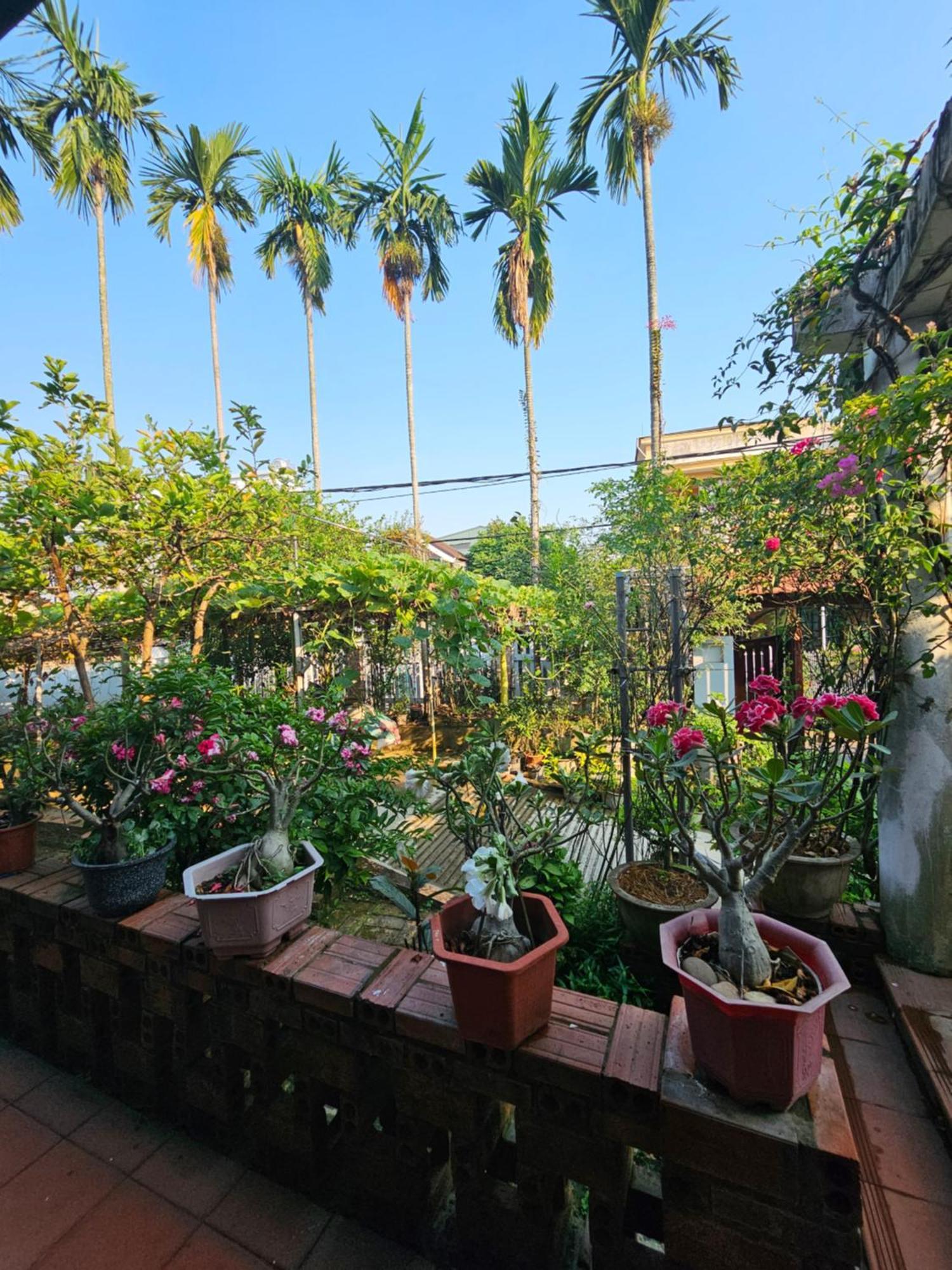 Rose Homestay Hue Thon Kim Long Exterior foto